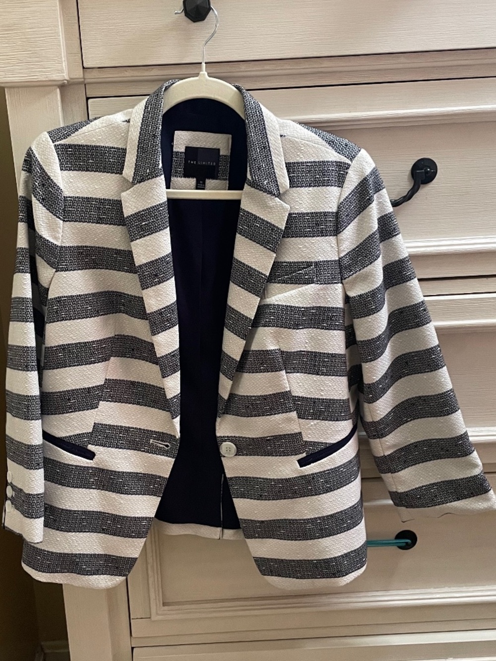 The Limited Striped Blazer